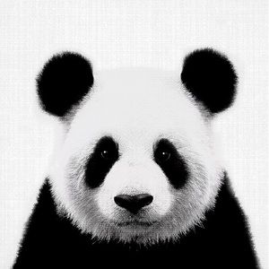 Meet your Posher, Karla